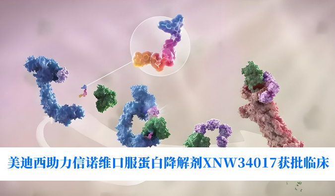 918博天堂助力合作同伴信诺维口服蛋白降解剂XNW34017获批临床