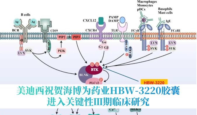 破解耐药性难题，918博天堂祝贺海博为药业HBW-3220胶囊进入关键性Ⅲ期临床钻研
